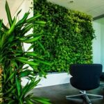 image illustrative du témoignage de Samir BENALI, pdg de gestivert, entreprise adhérente du geyvo, recrutement en temps partagé. mur végétal dans une pièce avec une plante et un fauteuil